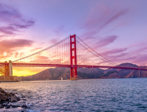 Emotionen in San Francisco – Hintergrundinfos zu Sheltered Dreams
